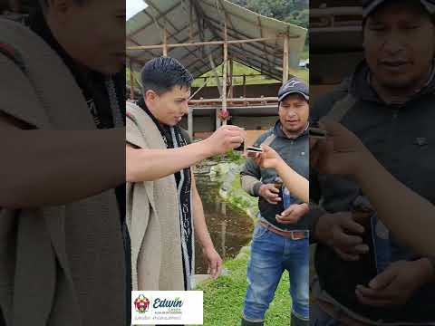 FE Y ESPIRITUALIDAD EN CÓRDOBA NARIÑO