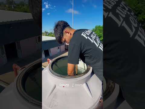 En el Jardín Bernardino Rivadavia se llevaron a cabo diferentes tareas de mantenimiento