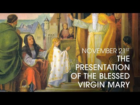 Monday of the 34ᵗʰ Week of Ordinary Time | Reflections with Very Rev. Fr. Olaitan