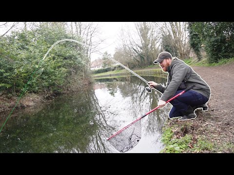 Hunt For BIG Canal Perch! New PB?