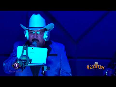 Me Estoy Muriendo De Ganas - Los Gatos De Sinaloa (En Vivo)