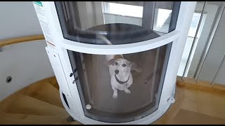 [問題] 黎明卿是好爸爸嗎