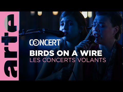Birds on a Wire - Les Concerts Volants (live) - @arteconcert