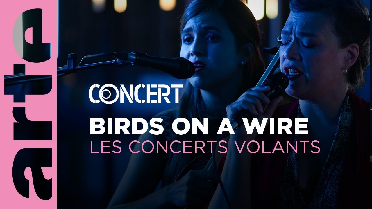 Birds on a Wire - Les Concerts Volants (live) - ‪@arteconcert‬