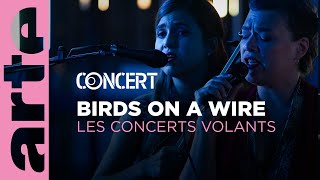 Birds on a Wire - Les Concerts Volants (live) - @arteconcert