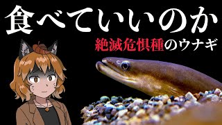 Re: [問題] 鰻魚是淡水魚嗎
