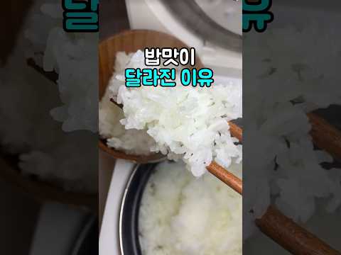 밥 지을때 물만 넣지 마세요