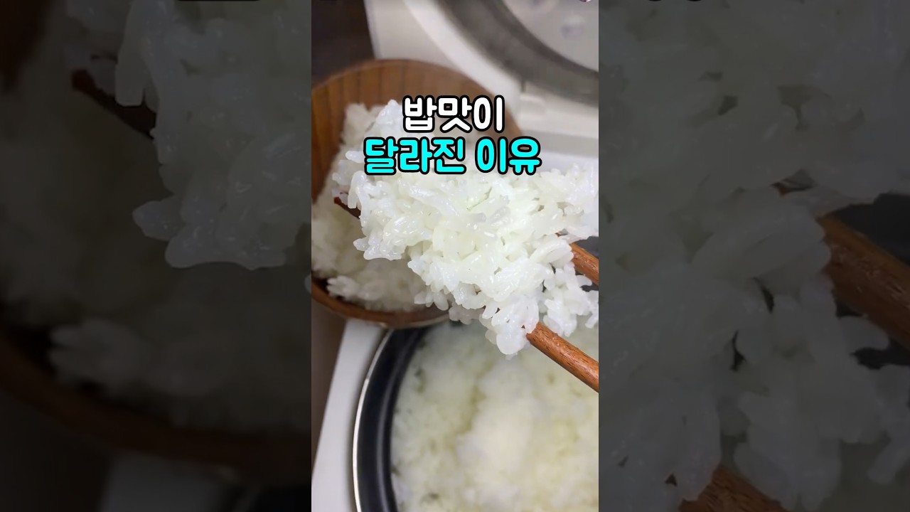 밥 지을때 물만 넣지 마세요