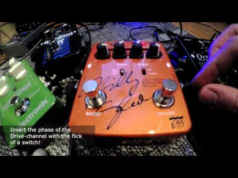 EBS Billy Sheehan Signature Drive Deluxe 2010s - Copper image 5