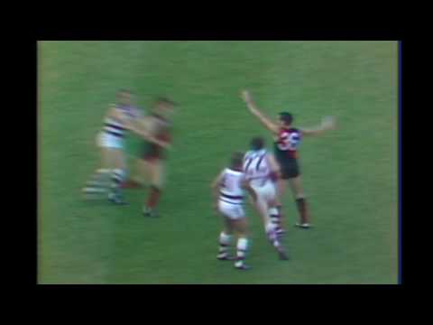Essendon vs Geelong 1984 Round 8 at VFL Park