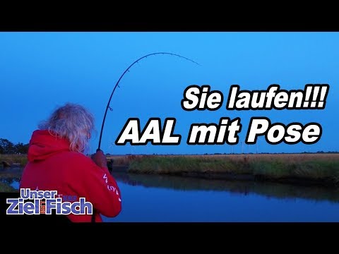 Successful fishing for eels with float - Learn to fish with Jörg Ovens - Our goal is fish - Episo...