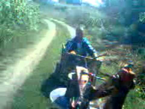 seaca de cimp  cioaita