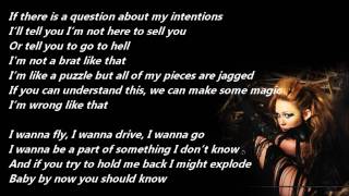 Miley Cyrus - Can't Be Tamed /\ Lyrics On A Screen