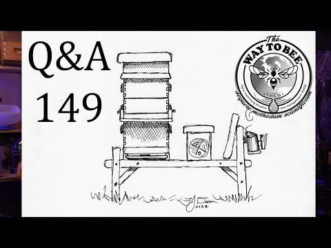 Backyard Beekeeping Questions and Answers 149 My Favorite Beginner Beehive Configuration and more!