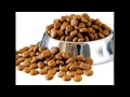 Top 10 Dog Food Companies In India 2018 Dog Food Brands