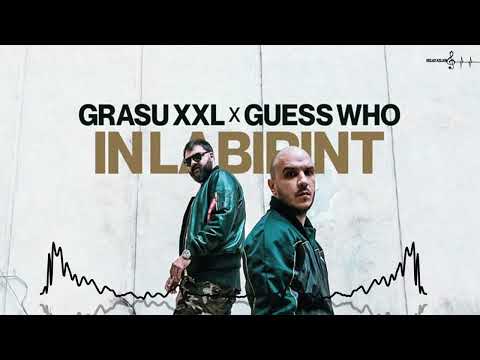 Grasu XXL ❌ Guess Who - Soareci In Labirint | Deejay Killer Remix
