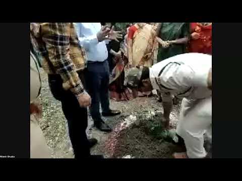 Planting of trees in India