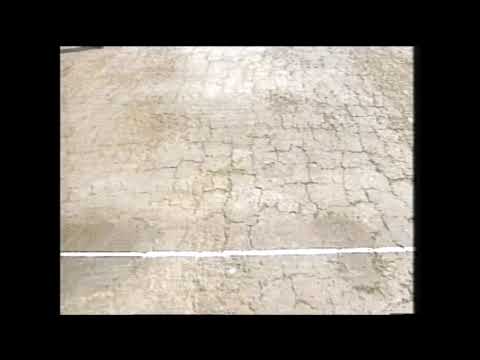 Michael Holding Honest Pitch Report 1995