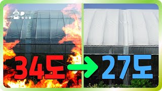하우스 온도를 낮추는 최고의 방법은?ㅣ 일반하우스 vs 차광제 vs 수막 ㅣ 고추 재배 적정 온도