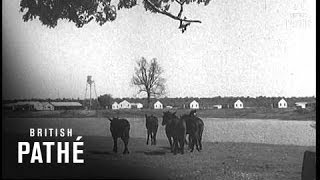 Resettlement Scheme For Dust Victims In Us Lner (1938)