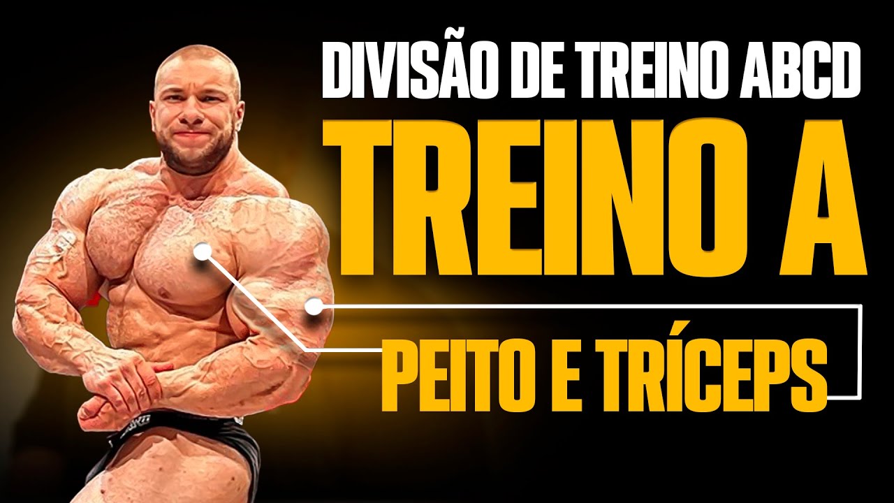 OS EXERCÍCIOS IDEAIS PARA SUA DIVISÃO *TREINO A*