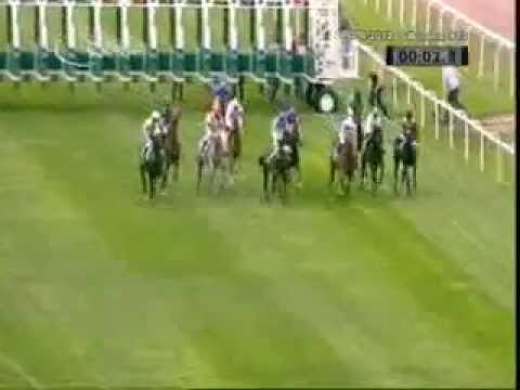 FRBC-GRAND-PRIX-Ebreichsdorf-Pikardie(DS Pegas)Petr Foret-2.místo