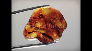 Okno do křídového jantaru BO-24