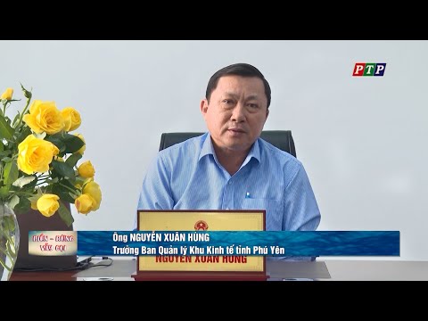khu-kinh-te-nam-phu-yen-bien-rung-vay-goi