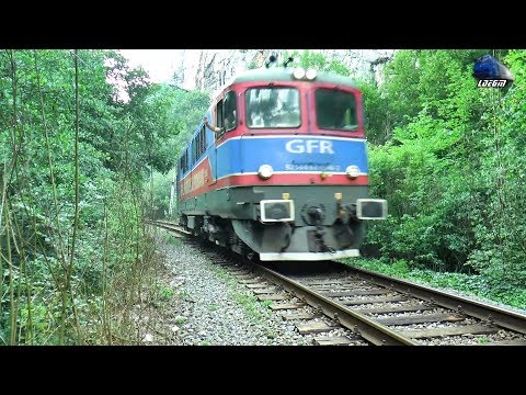 Trenuri in Defileul Crisului Repede/Trains in Crisul Repede Canyon - 20 June 2018