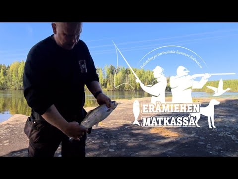 VENE POLIISILTA! | Kirjolohen ja muikun pyyntiä 2023 @eramiehenmatkassa #kalastus #fishing #salmon