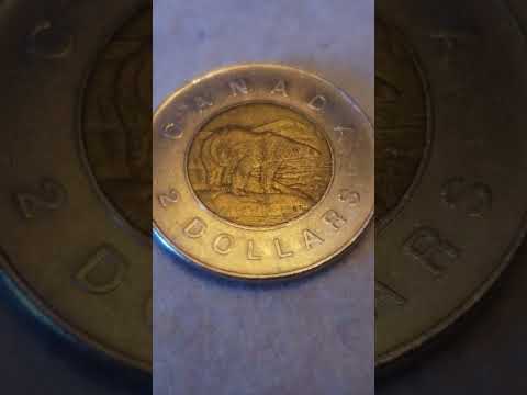 Is this a fake Toonie?