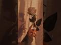 Girl Hand Flower Picture Flower Shorts Short Flower Dpz Hand Dp