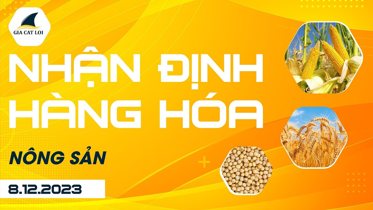 Nhận Định Hàng Hoá Nông Sản Ngày 08/12/2023