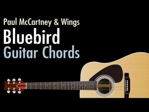 Bluebird (ver. 2) - Paul McCartney