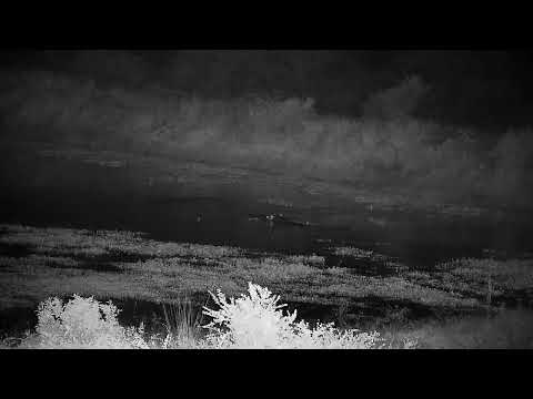Djuma: Hippo arriving - 03:25 - 06/21/2022