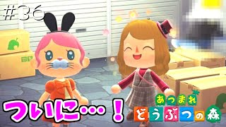 やっっと会えた…！#36【あつまれどうぶつの森 女性実況】