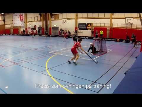 FBC Lerum 04/03 - Lindås P03