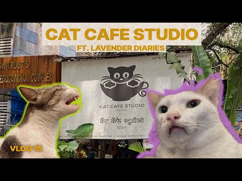 CATURDAY AT CAT CAFE STUDIO | VLOG 15 | FT. LAVENDER DIARIES