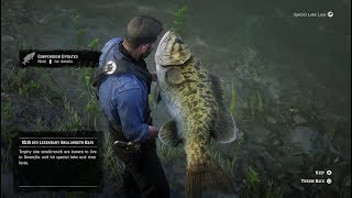 Red Dead Redemption 2 - PS4 - Stranger Mission #24 - A Fisher of Fish (Legendary Fish)