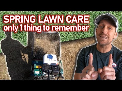 Almost time for these 3 spring lawn care tips...Simple steps to start your lawn season in spring