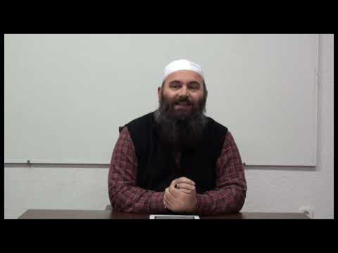 Shejh Albani (1) - Hoxhë Bekir Halimi