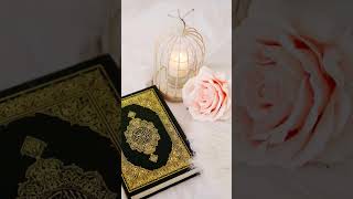 Download lagu Ya Rasulullah Ya Habib Allah☝🏻#Islami🥳#Pendek🥰#Video😍#Celana Pendek🥰#Celana PendekFoto-foto Islami 1k mp3 Download lagu Ya Rasulullah Ya Habib Allah☝🏻#Islami🥳#Pendek🥰#Video😍#Celana Pendek🥰#Celana PendekFoto-foto Islami 1k mp3