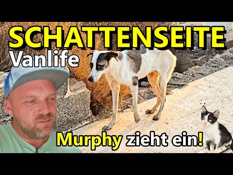 Atego.Traveller and BLUETTI Deutschland