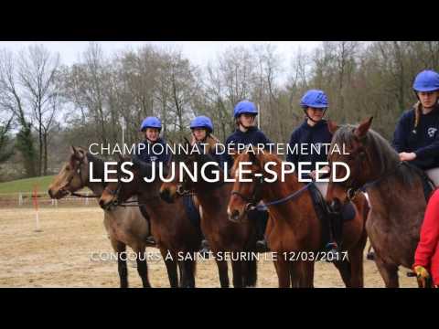 Championnat départemental/Les Jungle-Speed//12-03-2017/SHSS/