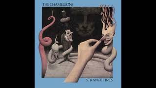 Swamp Thing - The Chameleons (1986)
