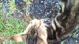 At This Particular Moment in Time.