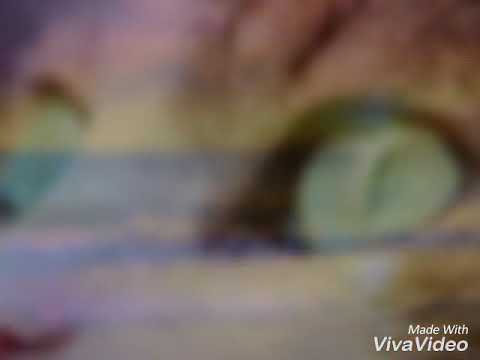 Levekar feat. Cassandra Grey - Darkest light // sub español