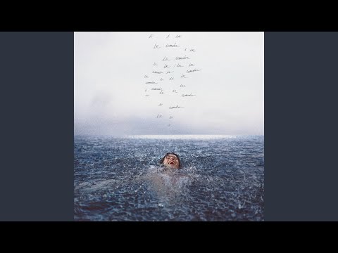 Song for No One – Shawn Mendes