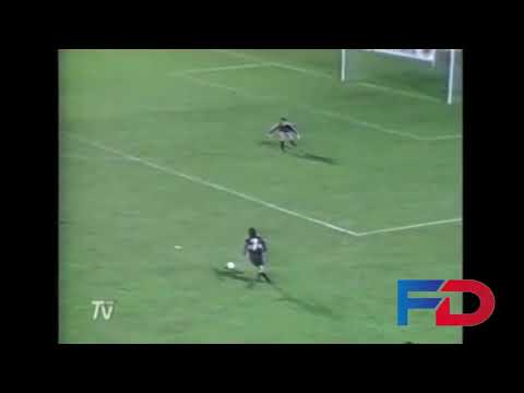 Goles Fecha 22 Campeonato Nacional 1991