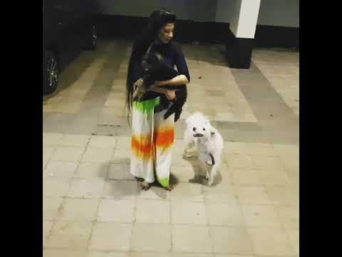 Call Me Dog Woman ? 😊 Best!